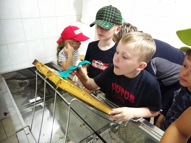 tabor 10_komprim